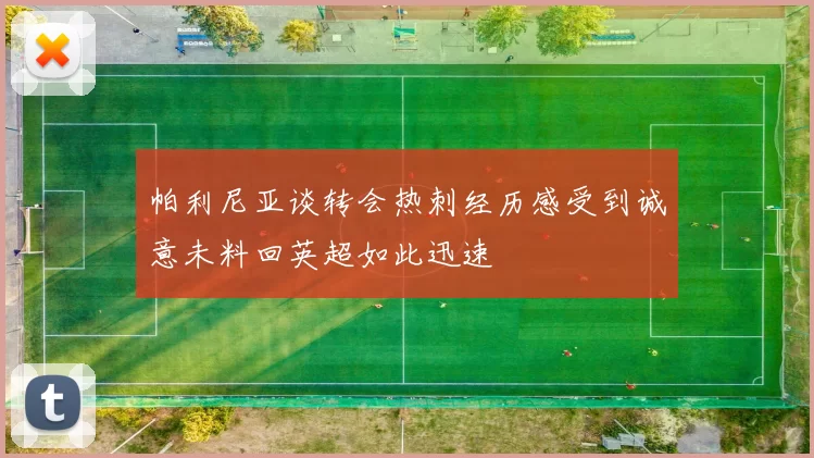 帕利尼亚谈转会热刺经历感受到诚意未料回英超如此迅速